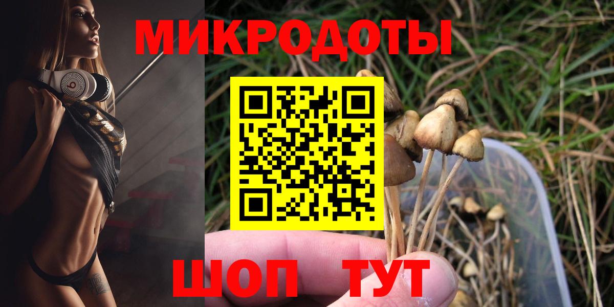 A-PVP Воркута